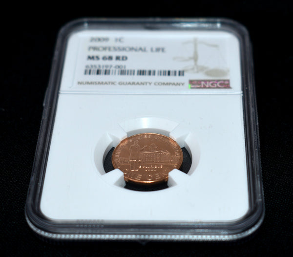 45510246