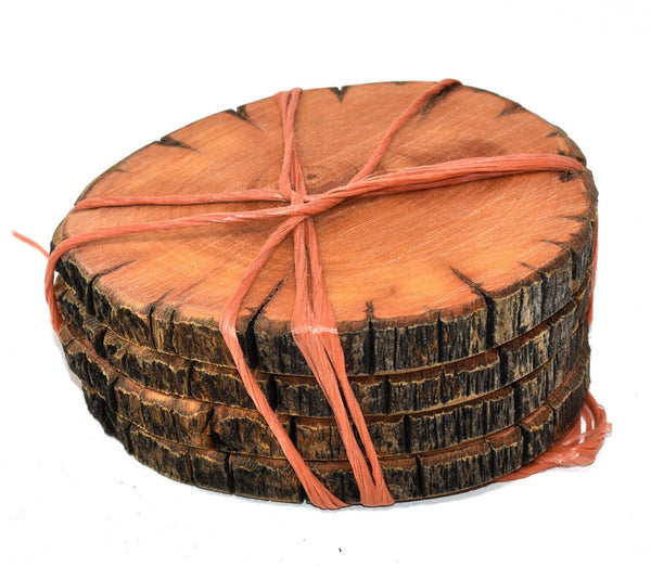 Bristlecone Pine Drink Coasters Set of 4 Handcrafted Wood Hundreds of Years Old