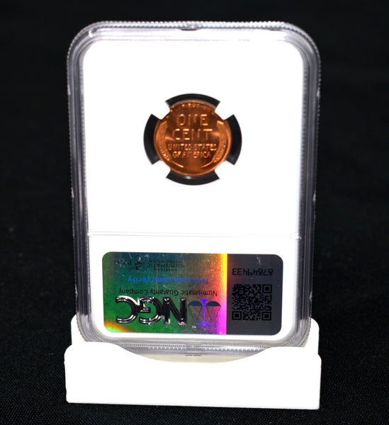 45510258