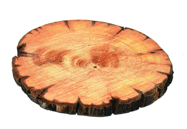 Bristlecone Pine Drink Coasters Set of 4 Handcrafted Wood Hundreds of Years Old