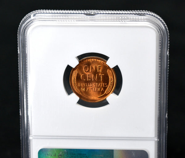 45510258
