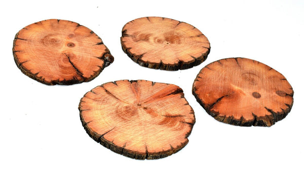 Bristlecone Pine Drink Coasters Set of 4 Handcrafted Wood Hundreds of Years Old