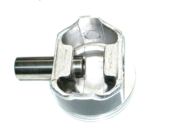 45665058