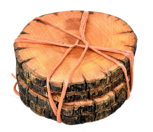 Bristlecone Pine Drink Coasters Set of 4 Handcrafted Wood Hundreds of Years Old